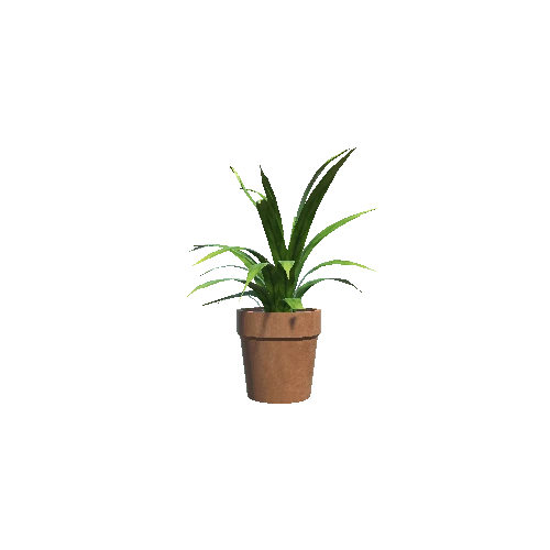 Plant 4